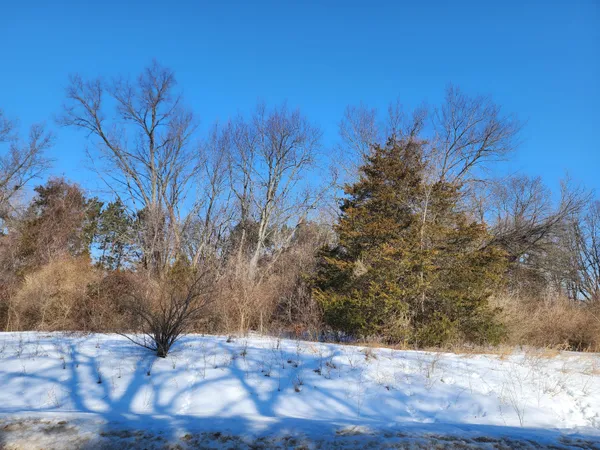 $30,000 | Three Rivers Mi 49093 Drive, Three Rivers, MI 49093