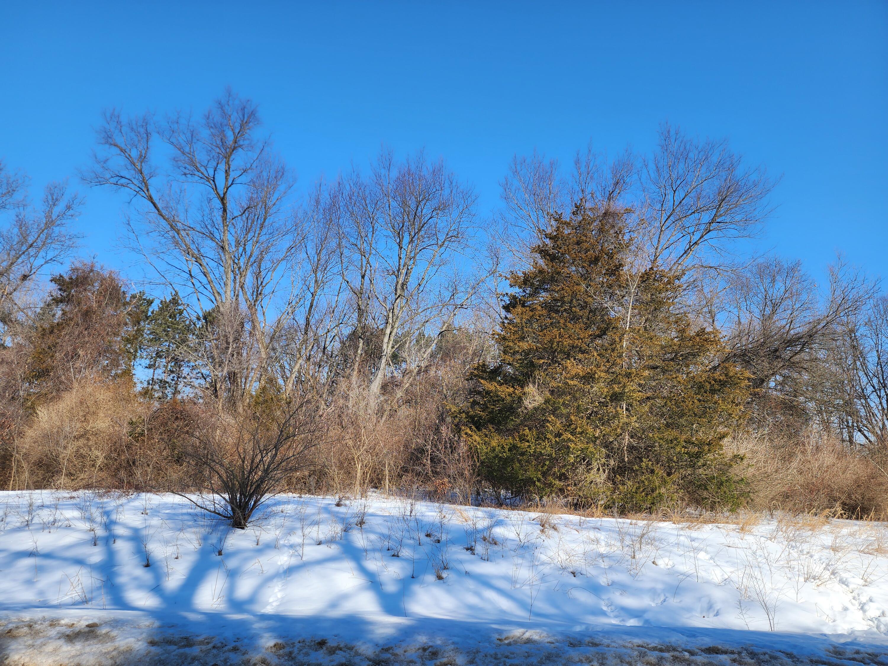 Three Rivers Mi 49093 Drive Three Rivers, MI 49093 - Photo 4 of 11 shorewood pic 4