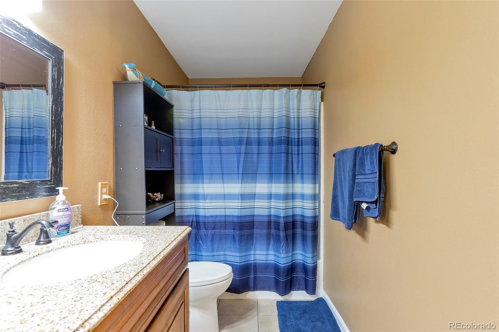 3876 East Canyon Ranch Road, Unit 203 Highlands Ranch, CO 80126 - Photo 6 of 15 Gallery Image 6