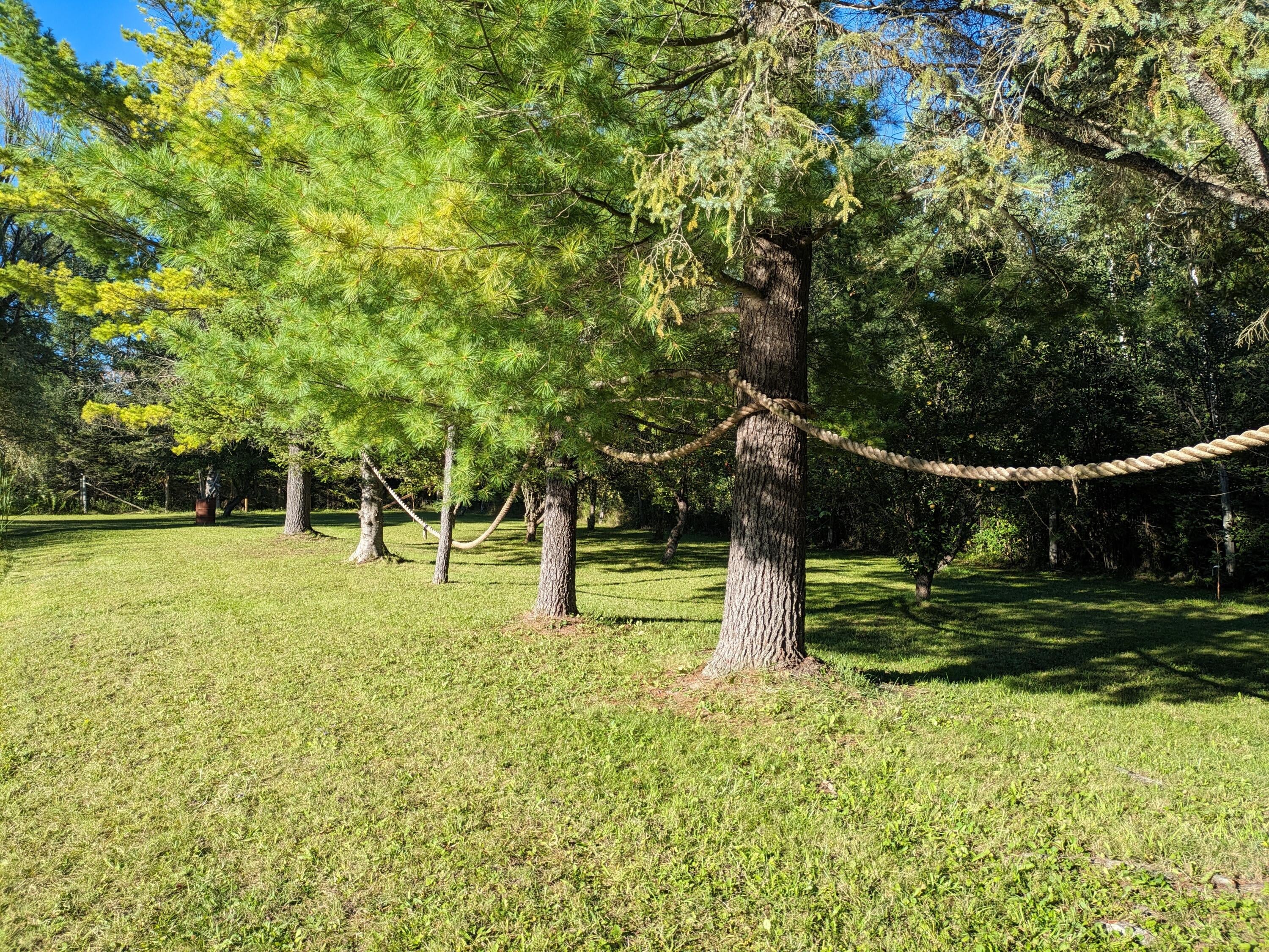 18096 Kellogg Road Atlanta, MI 49709 - Photo 35 of 48 Gallery Image 35