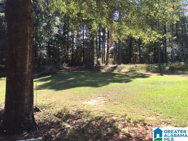 607 Tubbs Hill Road Oakman, AL 35579 - Photo 20 of 20 Gallery Image 20