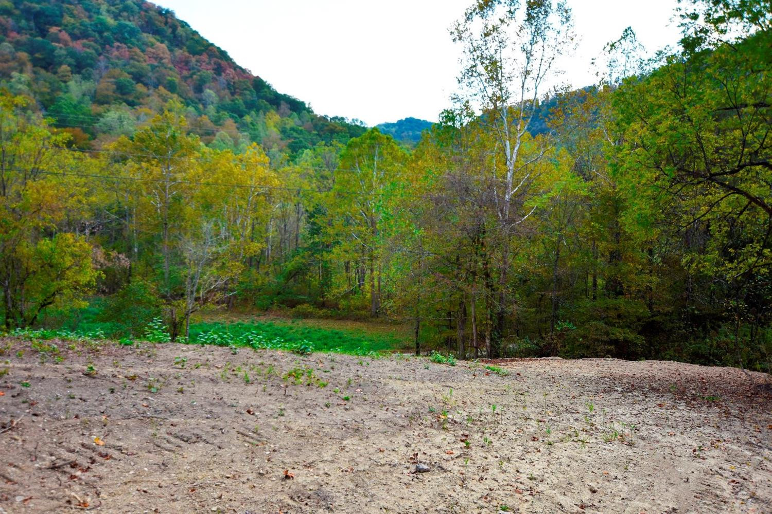 100 Middle Fork Road Irvine, KY 40336 - Photo 6 of 9 Already cleared and ready!