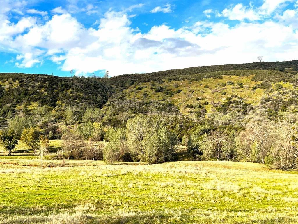 79.67 High Flat Road Red Bluff, CA 96080 - Photo 4 of 4 a view of an ocean