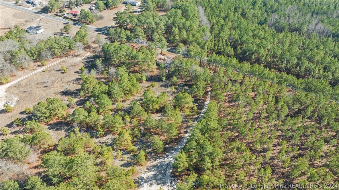 Mckoy Town Off Road Cameron, NC 28326 - Photo 1 of 3 Gallery Image 1