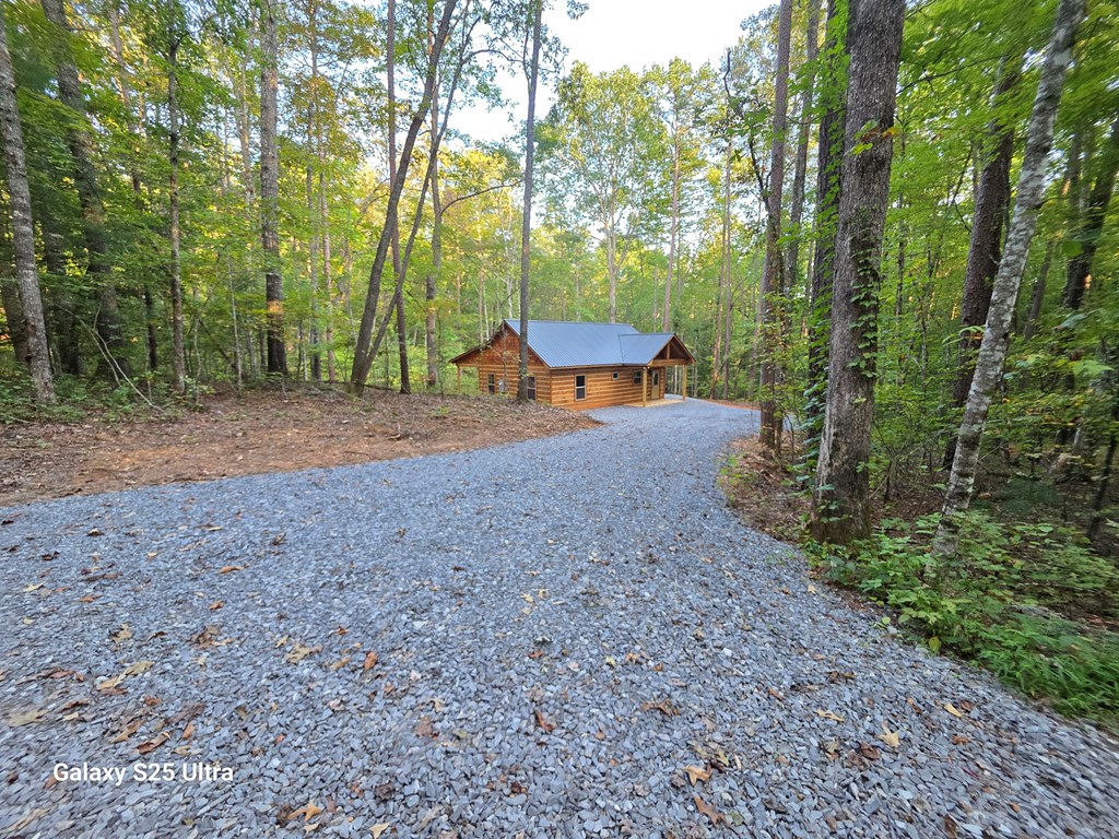 110 Old Ridge Road Mineral Bluff, GA 30559 - Photo 2 of 11 Gallery Image 2