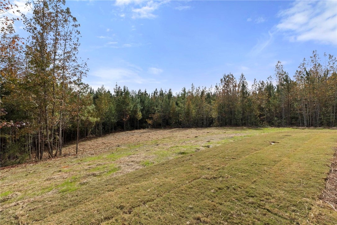 2845 Pear Tree Road Auburn, AL 36879 - Photo 26 of 31 Gallery Image 26