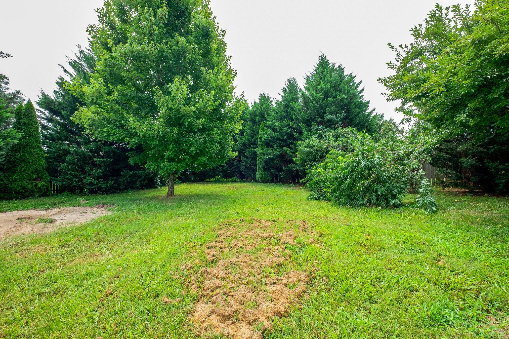 1021 Golf View Way Spring Hill, TN 37174 - Photo 29 of 30 GREAT FENCED Back Yard--Feels PRIVATE & Park-Like!