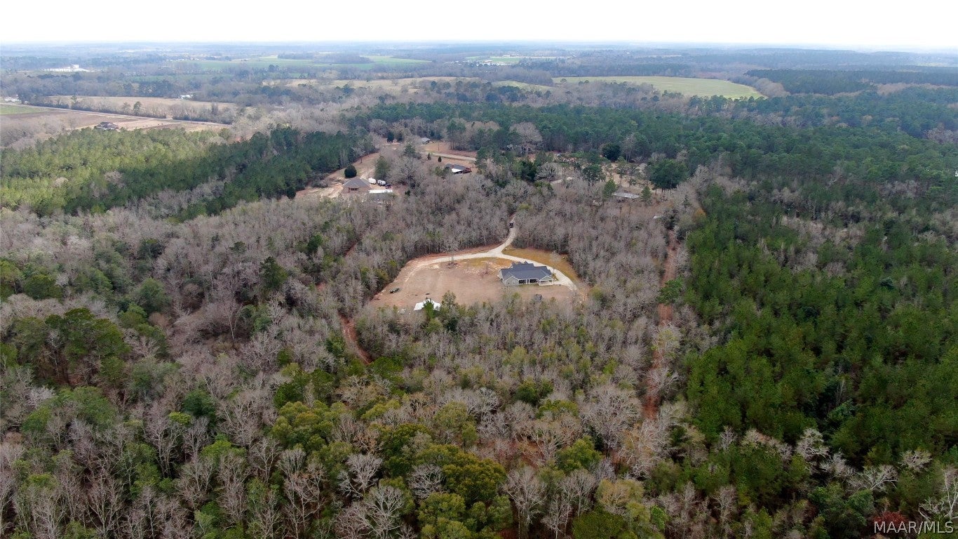 1084 Stephenson Road Coffee Springs, AL 36318 - Photo 35 of 37 Gallery Image 35
