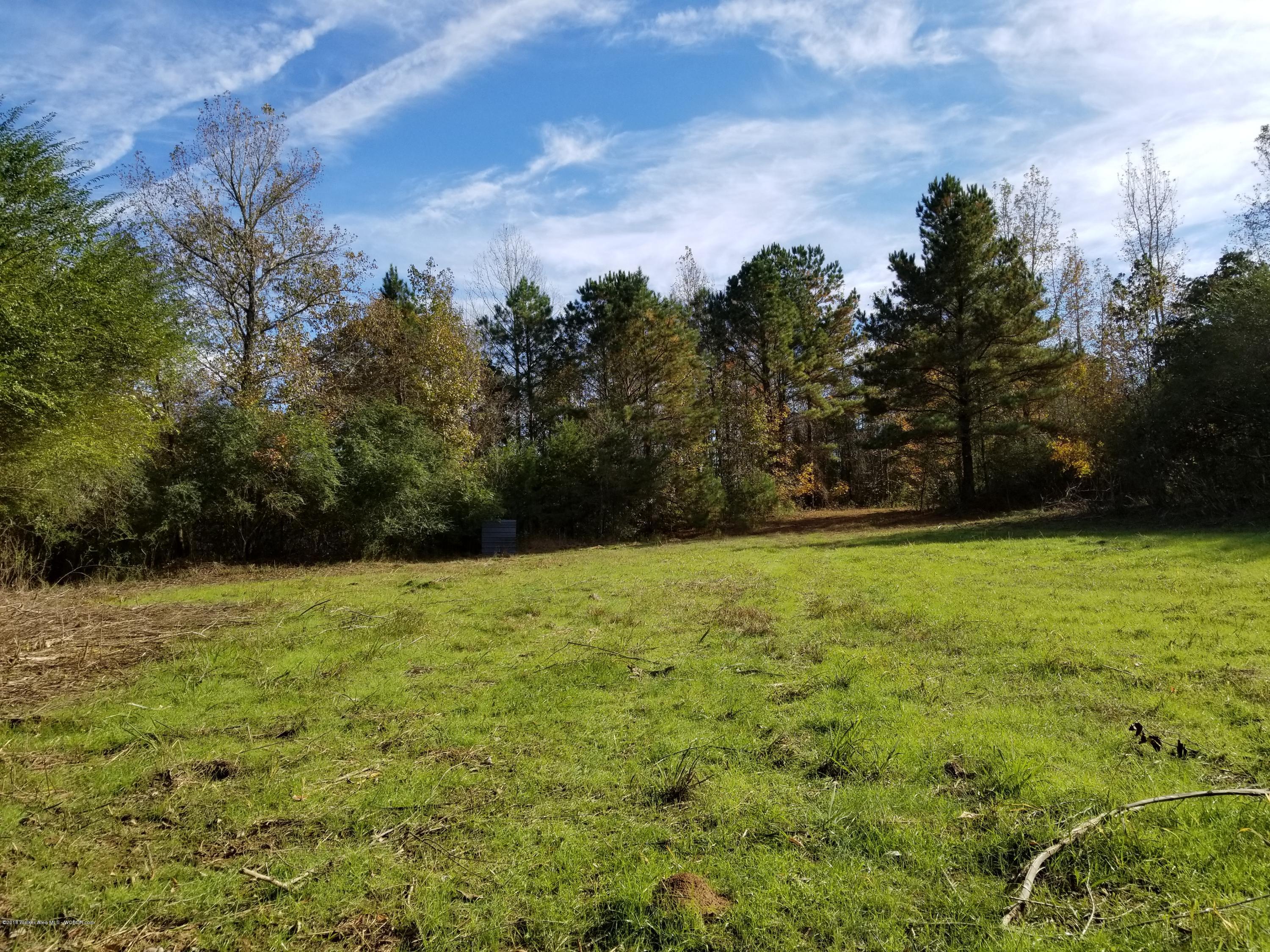 Blackwood Road Oakman, AL 35579 - Photo 21 of 21 Gallery Image 21