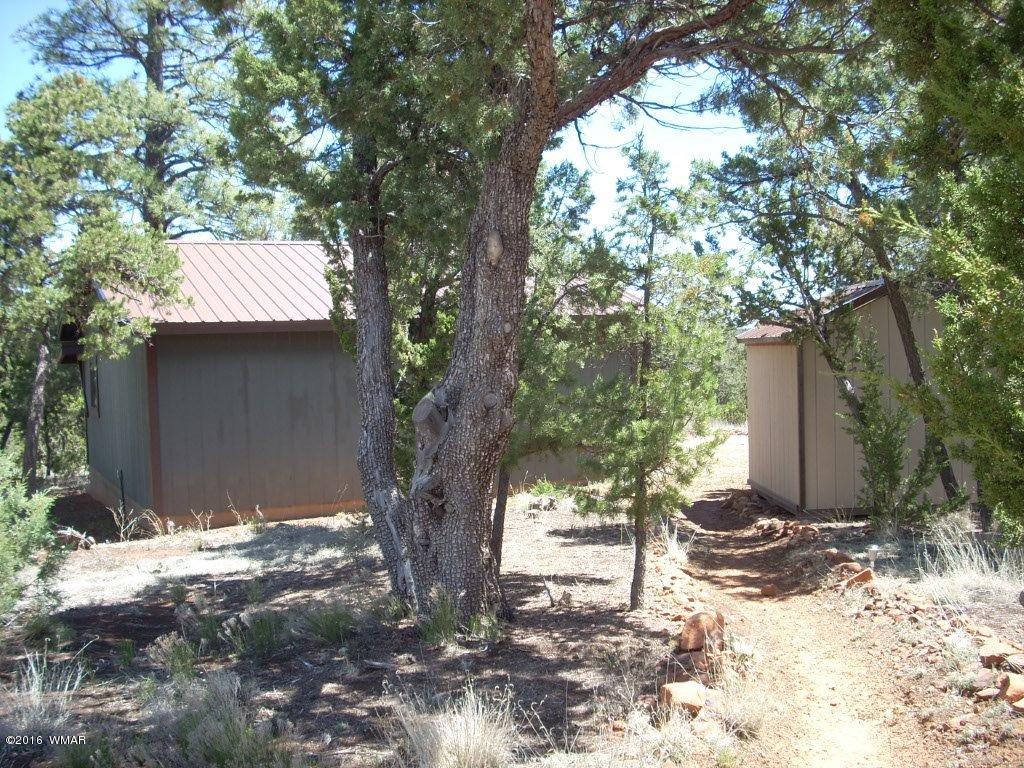 3145 Aspen Road Overgaard, AZ 85933 - Photo 11 of 36 a view of a tree in the backyard of a house