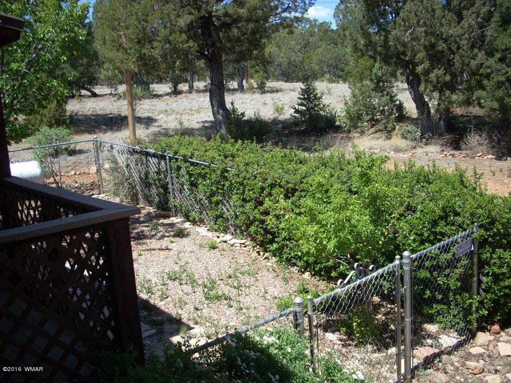3145 Aspen Road Overgaard, AZ 85933 - Photo 17 of 36 a view of a backyard of the house