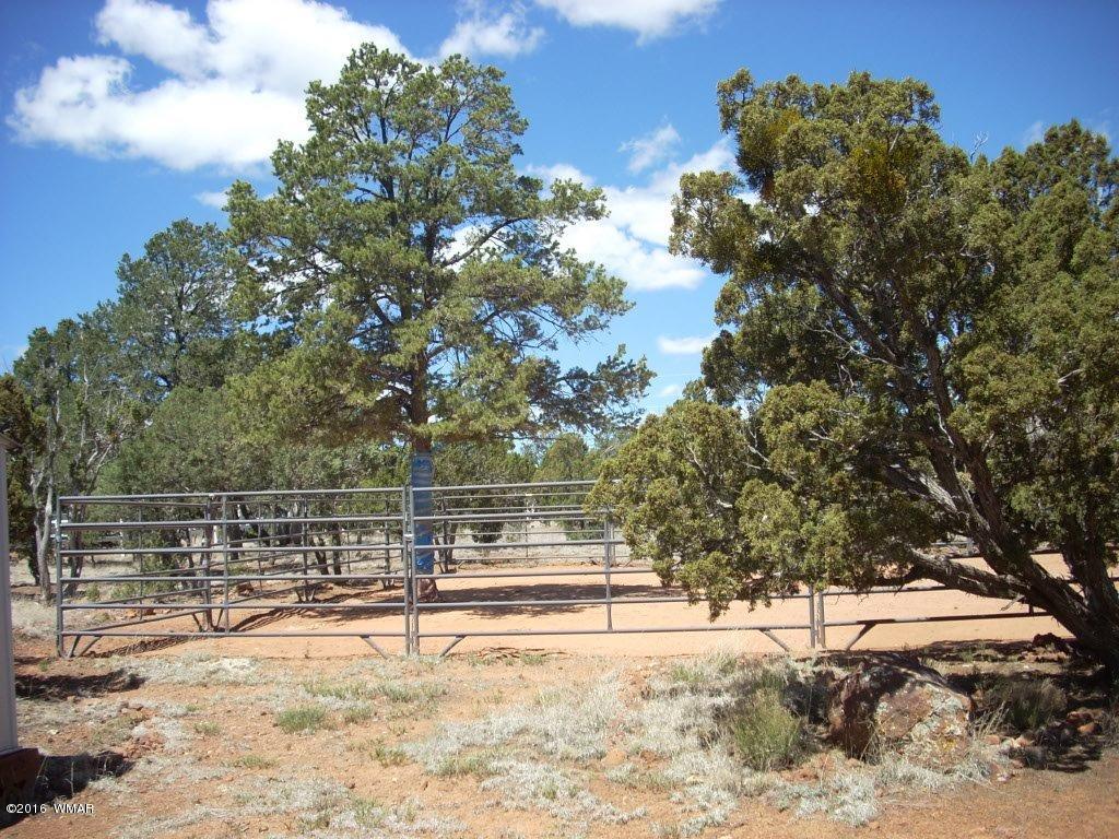 3145 Aspen Road Overgaard, AZ 85933 - Photo 6 of 36 a view of a yard with a tree