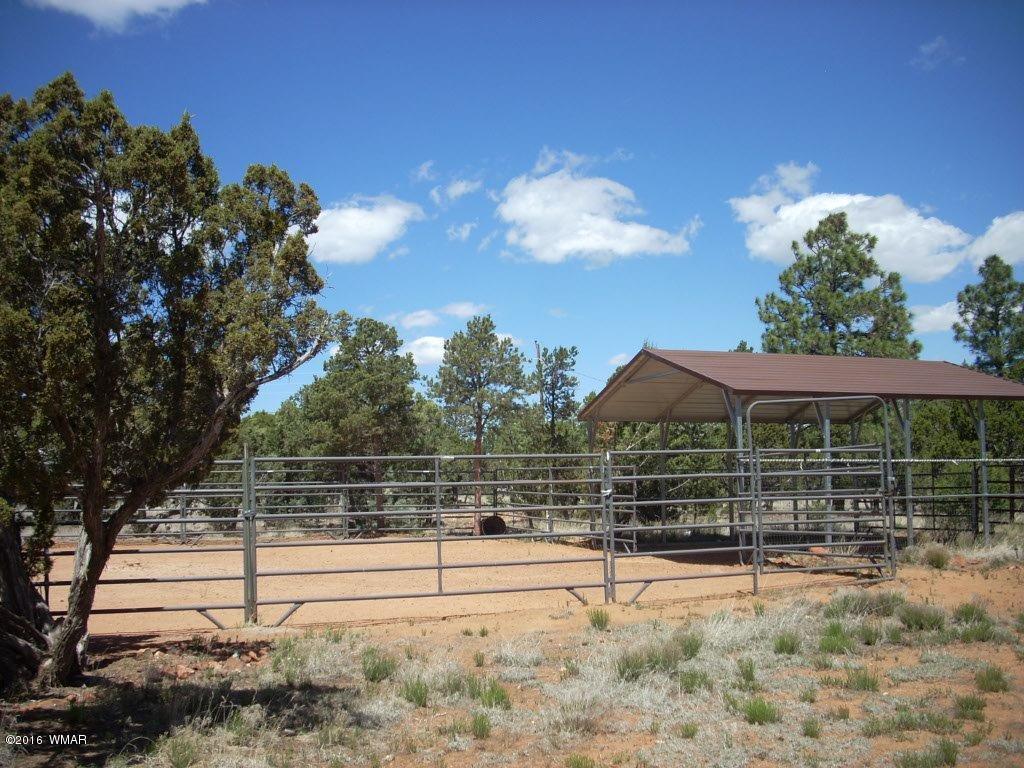 3145 Aspen Road Overgaard, AZ 85933 - Photo 7 of 36 a view of a yard and mountain view