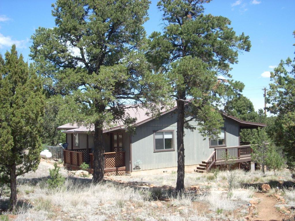 3145 Aspen Road Overgaard, AZ 85933 - Photo 10 of 36 a view of a house with a yard covered in snow