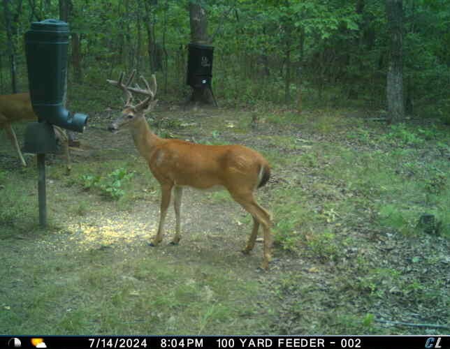 11 Green Road Graysville, TN 37338 - Photo 7 of 7