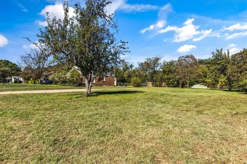 a view of a garden with trees
