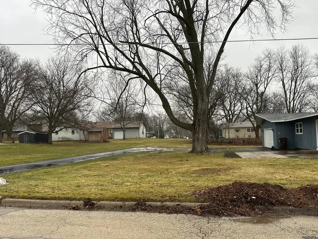 a large body of water with a large tree
