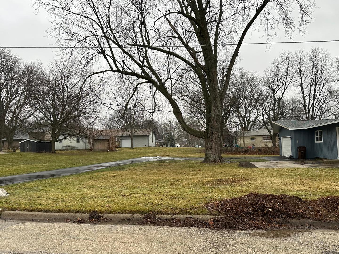 307 Grant Street Harvard, IL 60033 - Photo 16 of 18 a large body of water with a large tree