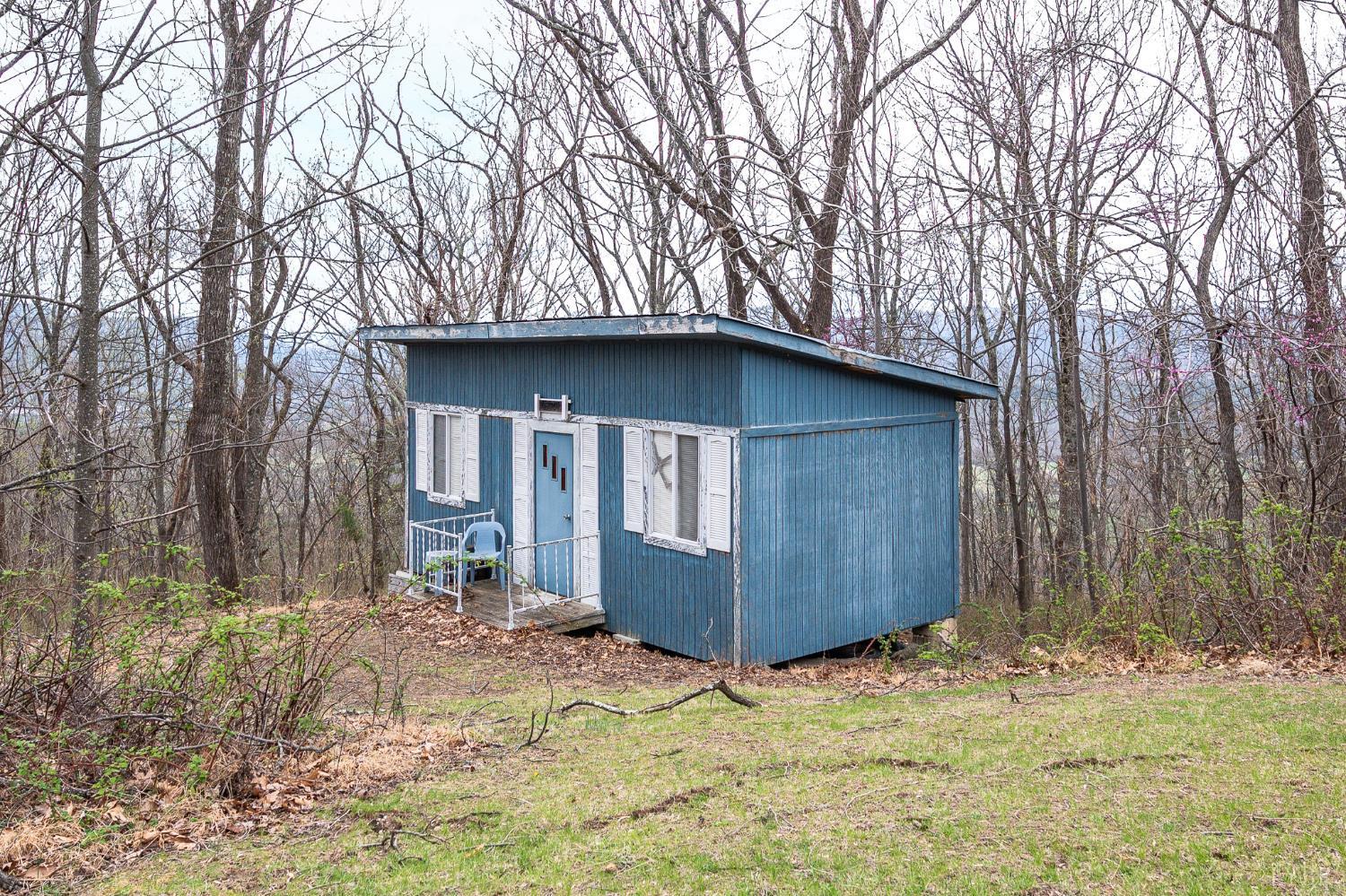 4400 Murray Hollow Road Thaxton, VA 24174 - Photo 52 of 56 a house with trees in front of it