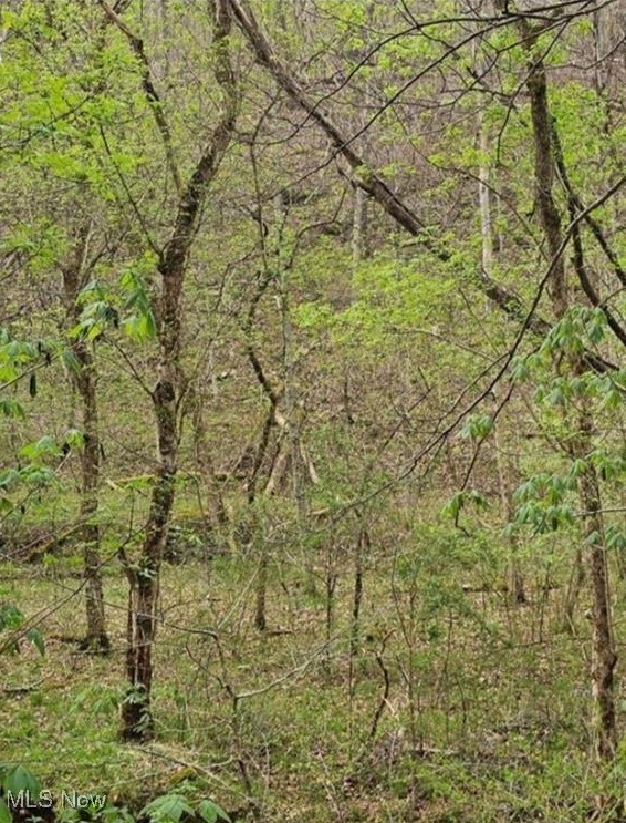 1247 Rocky Branch Road Spencer, WV 25276 - Photo 5 of 9