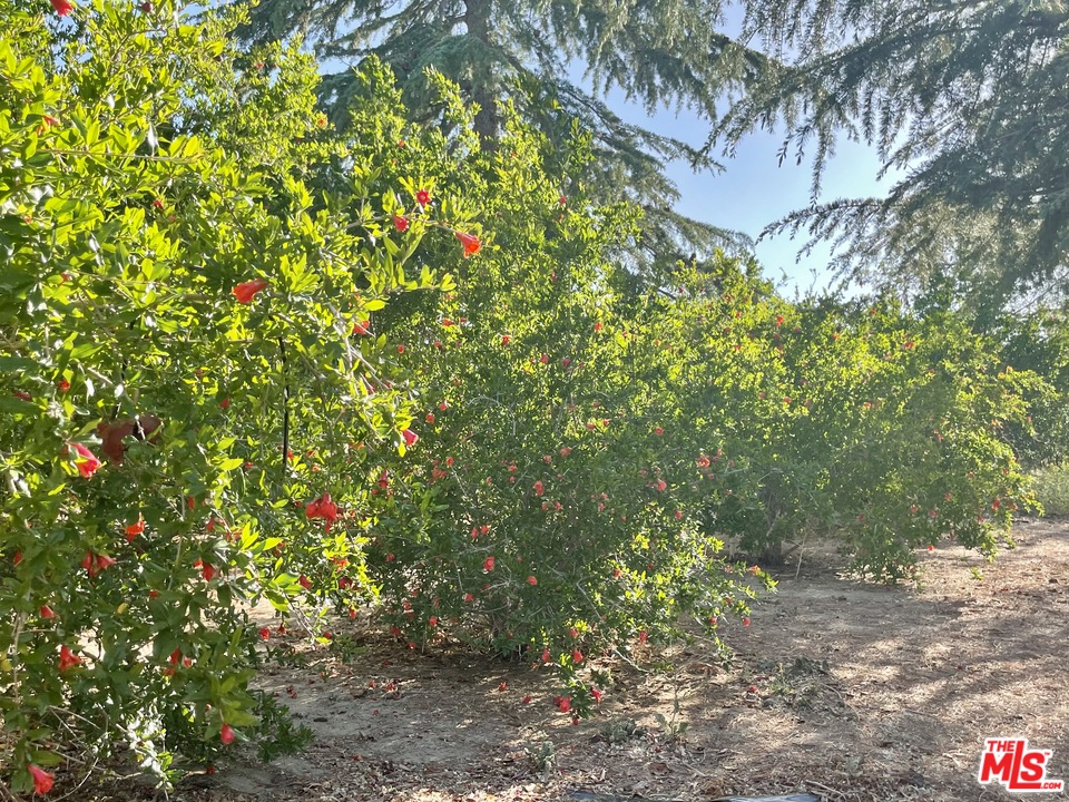 49750 3 Points Road Lancaster, CA 93536 - Photo 34 of 54