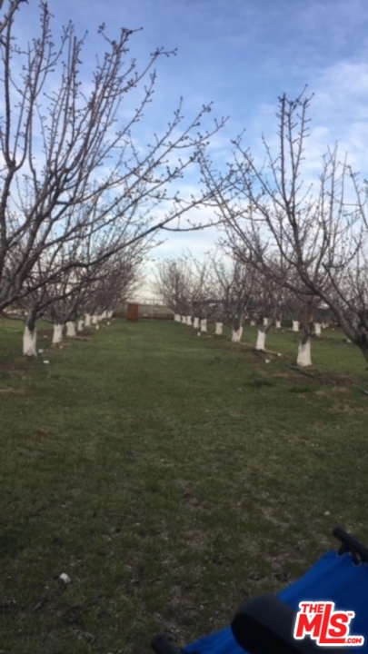 49750 3 Points Road Lancaster, CA 93536 - Photo 45 of 54