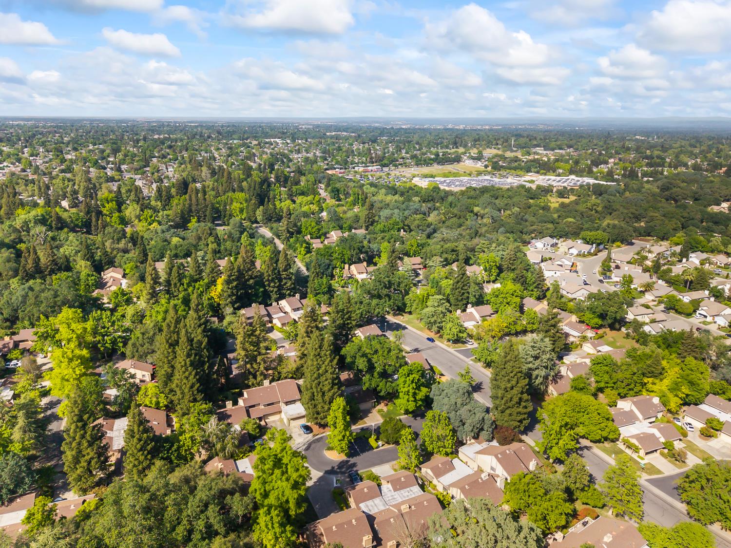 7023 Rio Cuarto Court Citrus Heights, CA 95621 - Photo 27 of 55