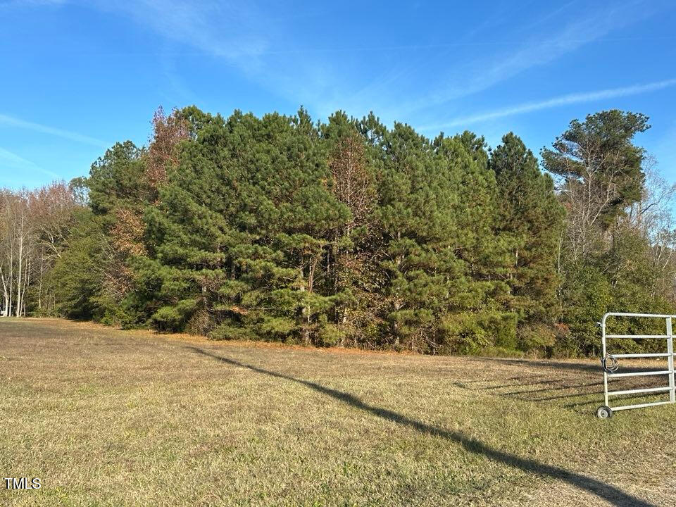 6908 Hodge Road Wendell, NC 27591 - Photo 2 of 3 01