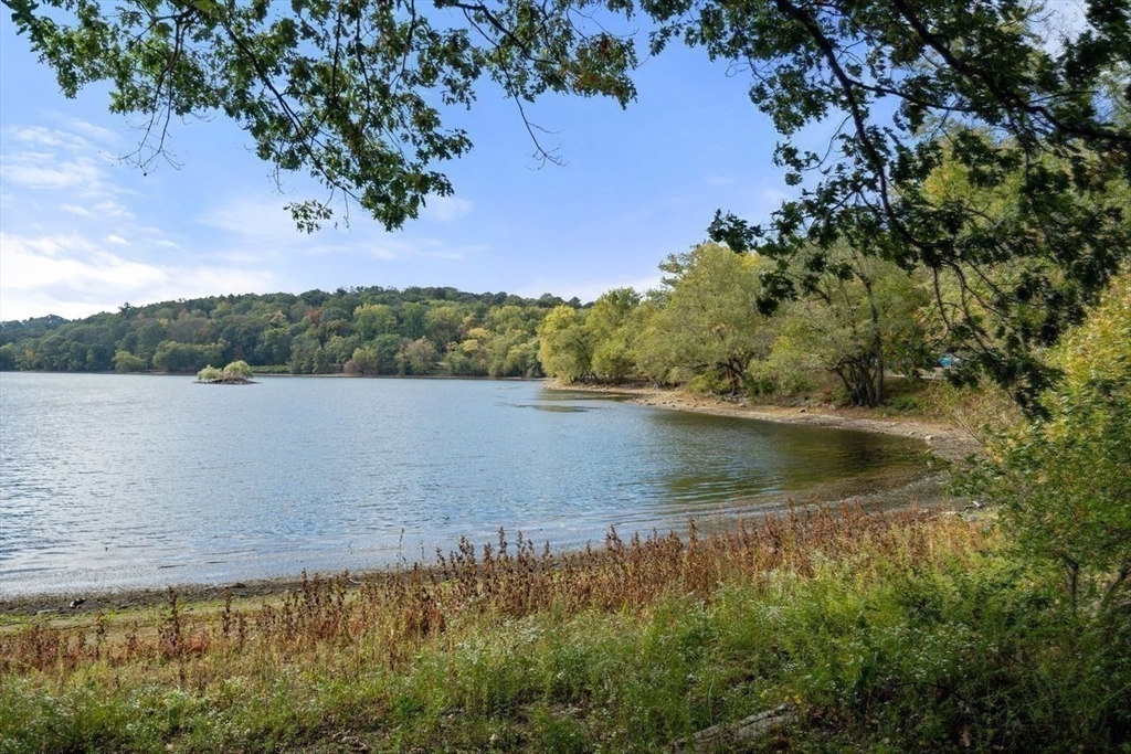 11 Spring Park Avenue, Unit B Boston, MA 02130 - Photo 20 of 23 Gallery Image 20