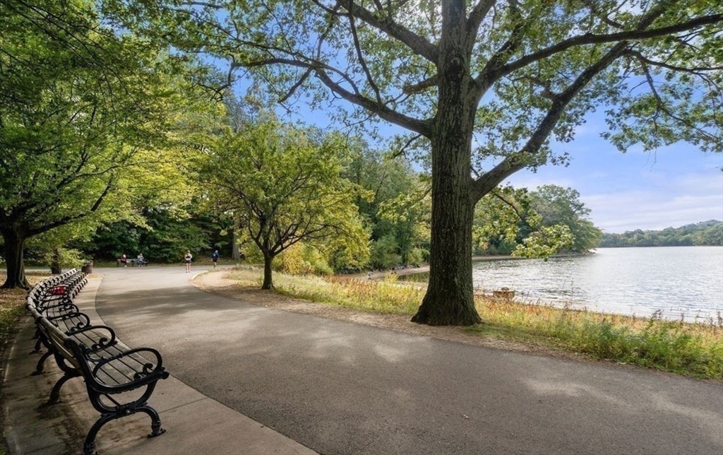 11 Spring Park Avenue, Unit B Boston, MA 02130 - Photo 21 of 23 Gallery Image 21