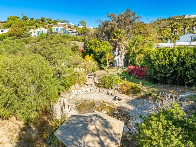 a view of a garden with plants and large trees
