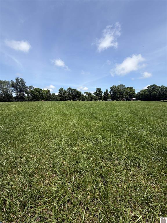 2510 Olive Hamlet Road Benton, KY 42025 - Photo 20 of 30 11