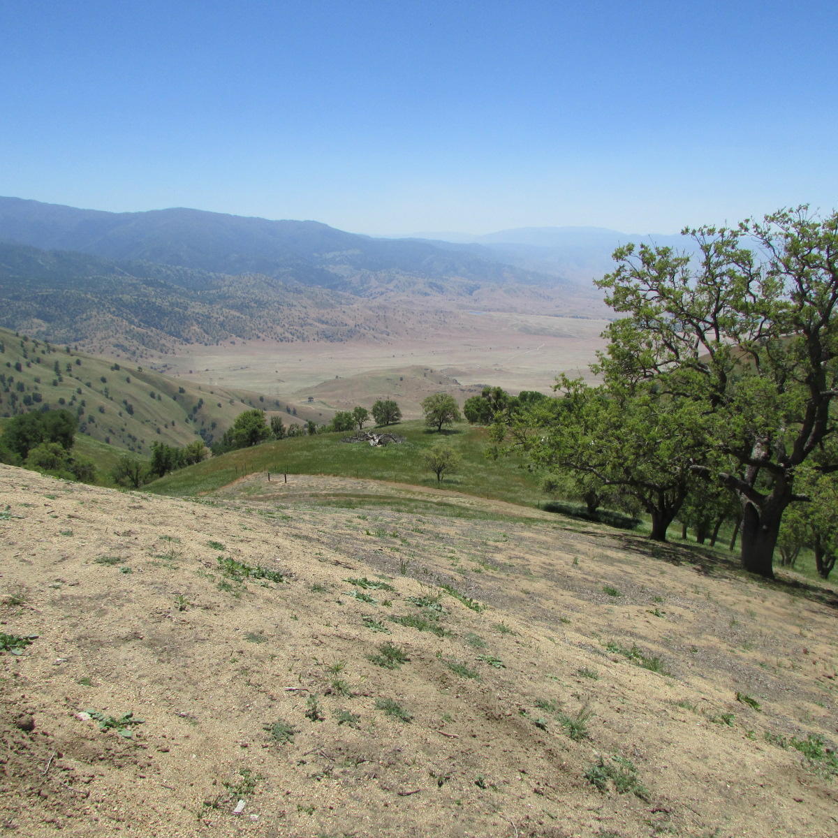18300 Jacks Hill Road Tehachapi, CA 93561 - Photo 58 of 67 IMG_3434