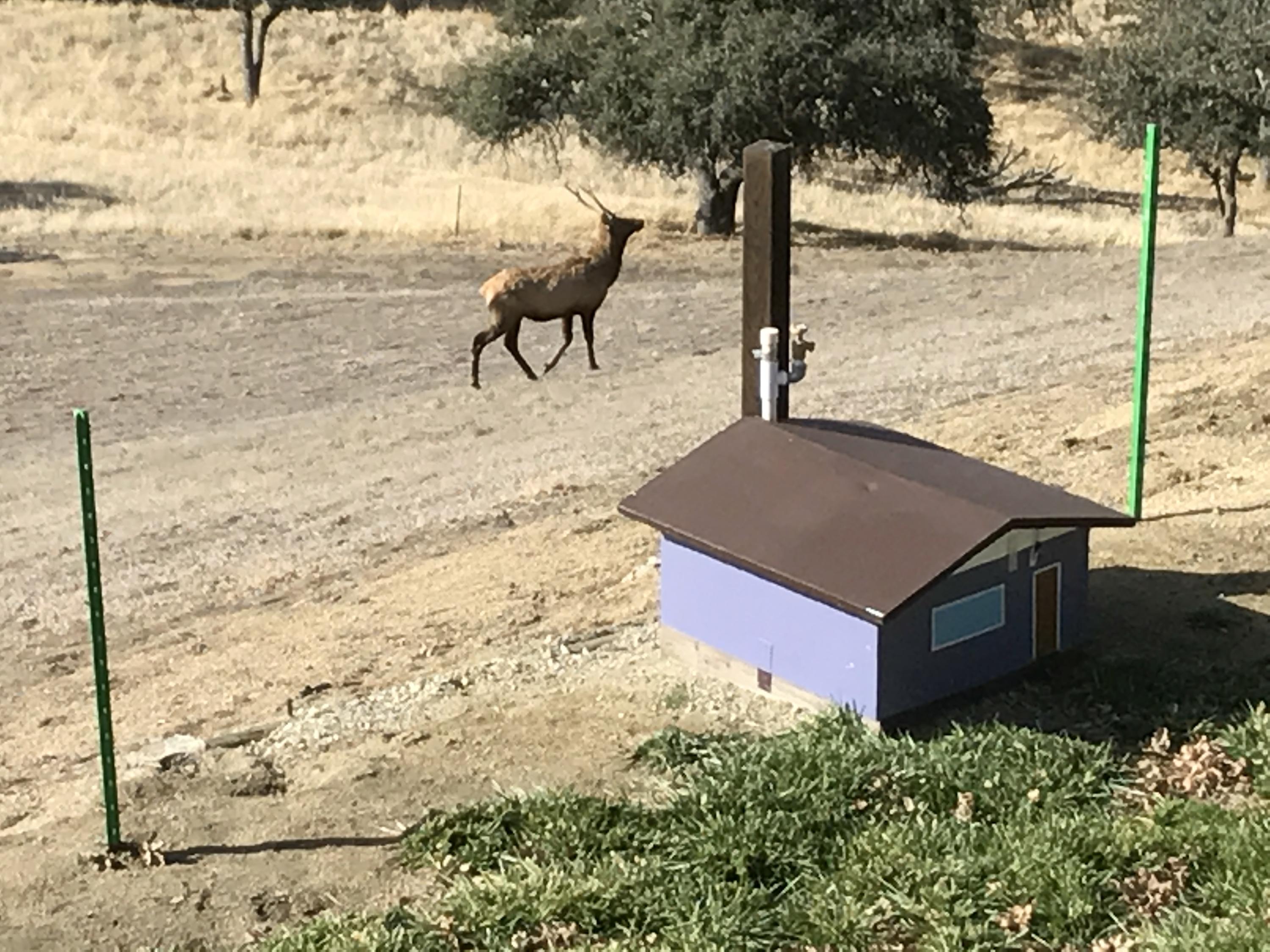 18300 Jacks Hill Road Tehachapi, CA 93561 - Photo 64 of 67 IMG_2343