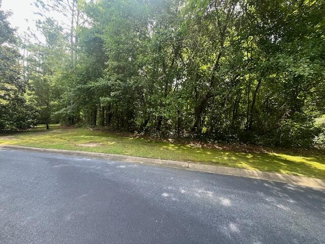 25 Millrun Drive Sumter, SC 29154 - Photo 3 of 10