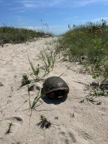 $6,000 | 3150 North Hwy A1A, Unit 301, Hutchinson Island, FL 34949