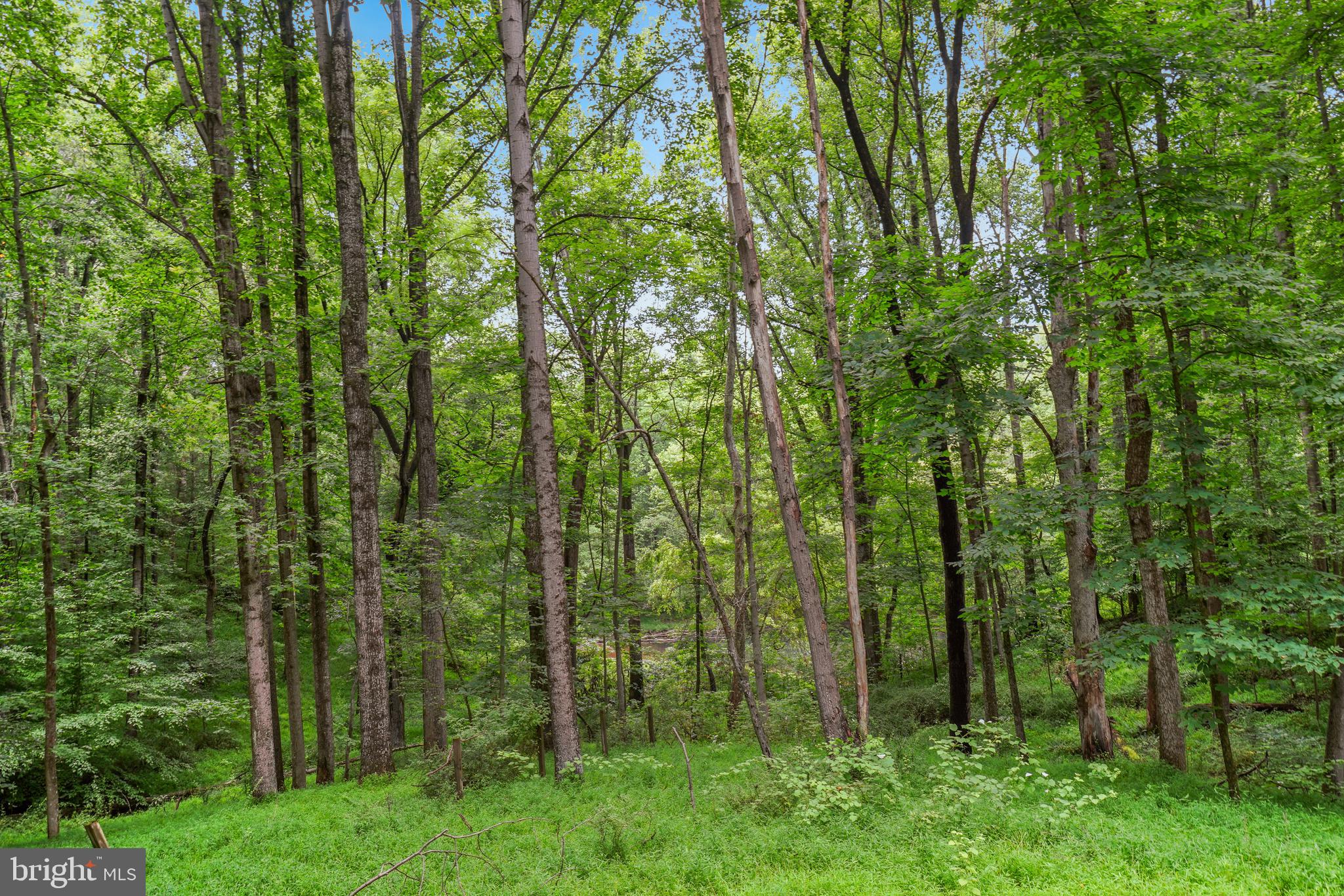 13621 Esworthy Road Germantown, MD 20874 - Photo 27 of 33 Gallery Image 27