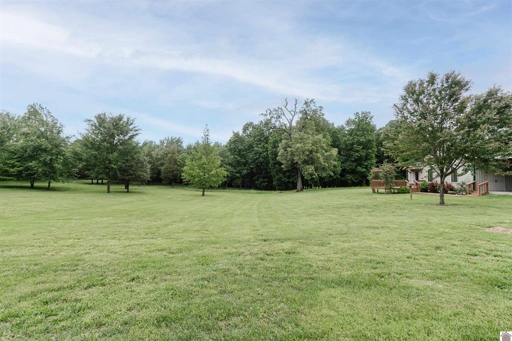 1430 Spence Chapel Road Mayfield, KY 42066 - Photo 41 of 50 137298-2cd4436c-bd9b-4ec5-8e90-8884da2ce
