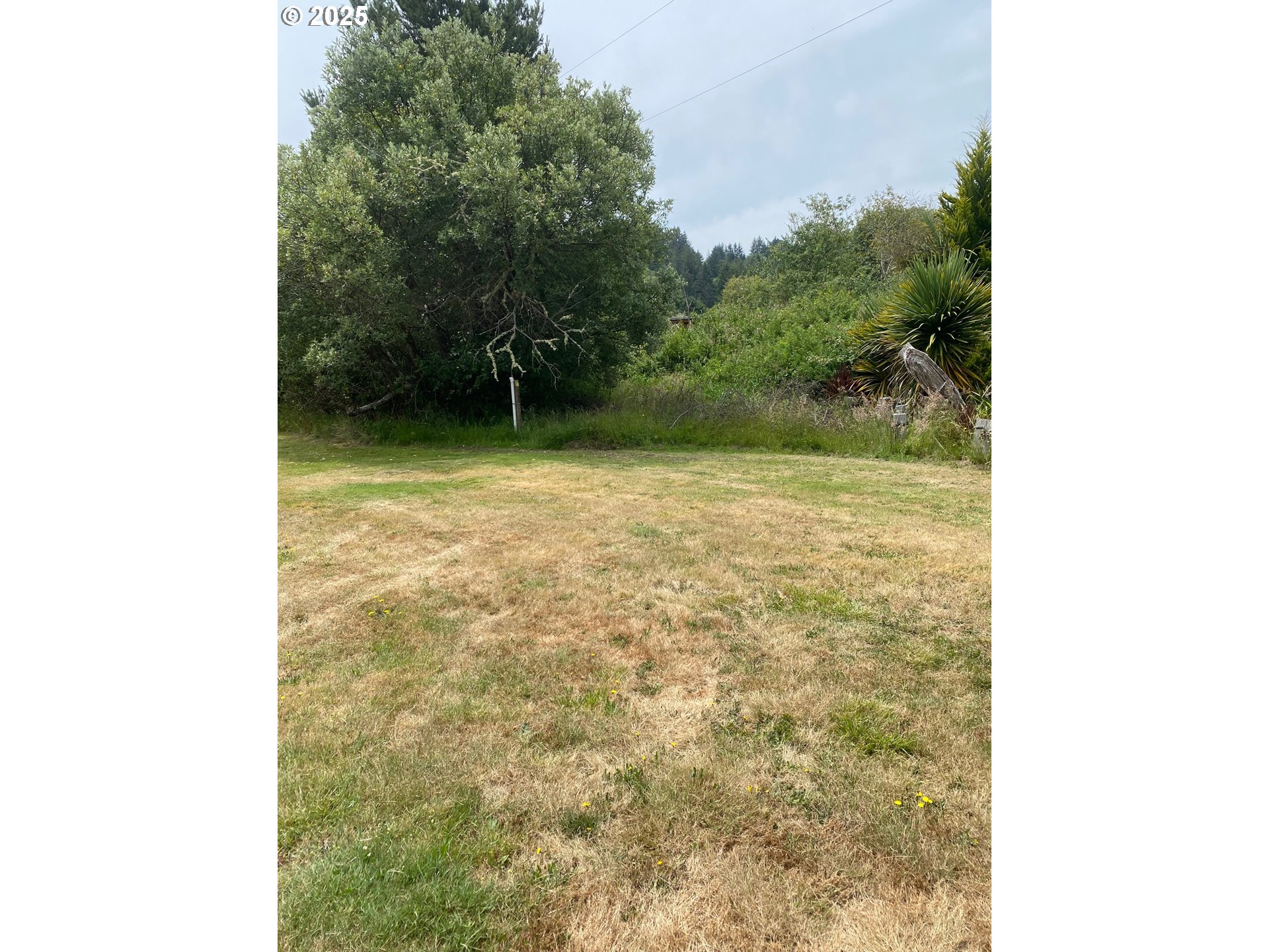 3rd Street Lakeside, OR 97449 - Photo 2 of 2 a view of a room with a trees in the background
