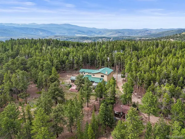 a close up of a plant