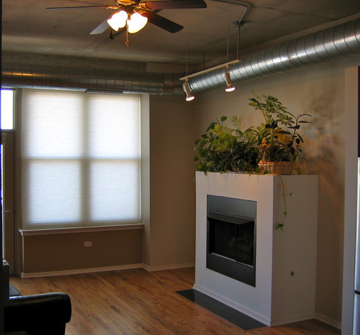 6 South Laflin Street, Unit 703 Chicago, IL 60607 - Photo 2 of 6
