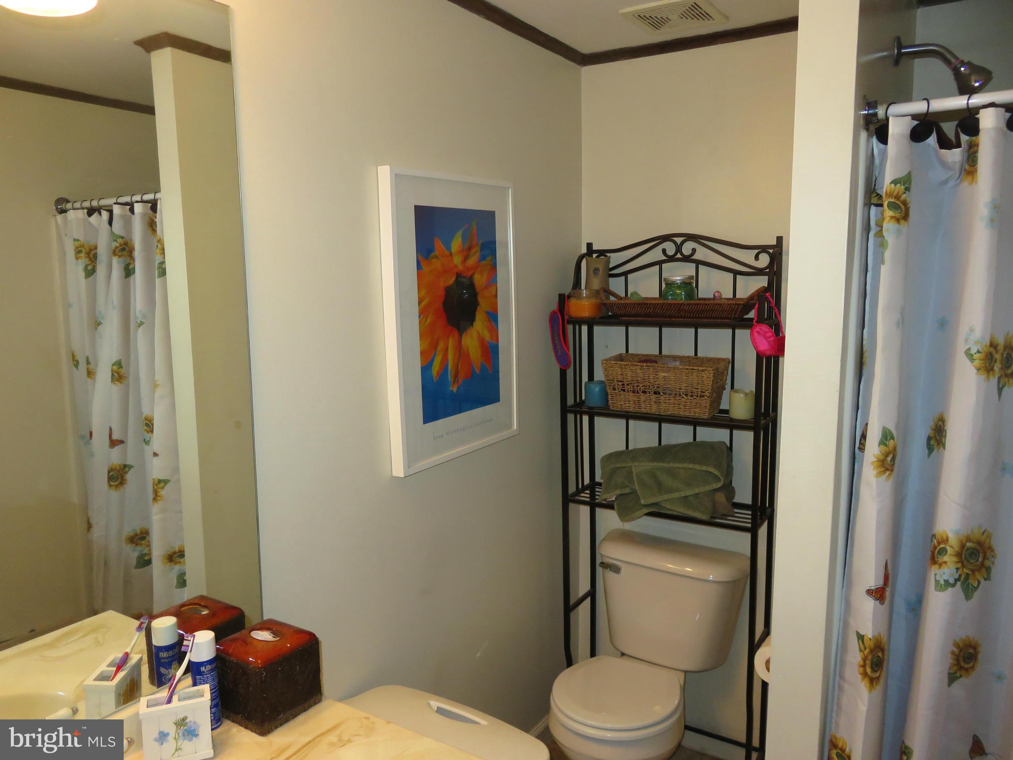 244 1st Street Inwood, WV 25428 - Photo 12 of 17 MBR BATH WITH SHOWER