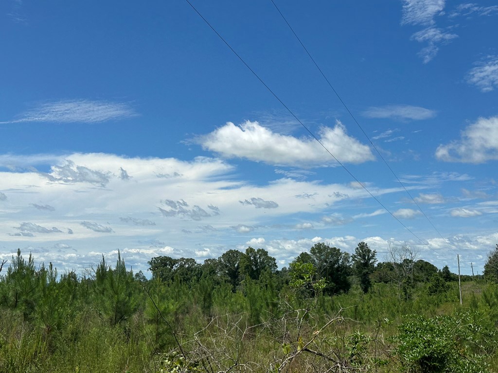 250 Adams Mill Road Clayton, AL 36016 - Photo 28 of 74