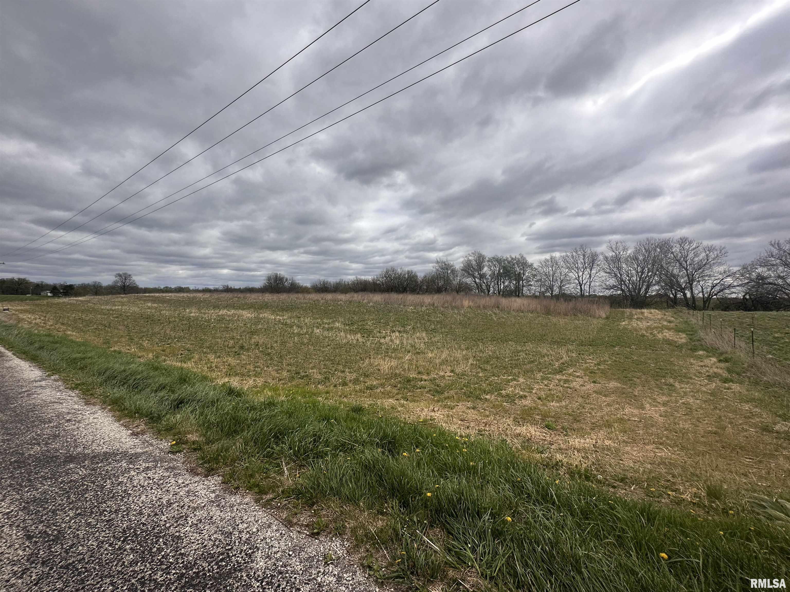 Smith Road Virginia, IL 62691 - Photo 3 of 6