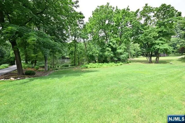 a view of green field with trees in the background