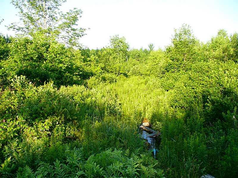 252 Range Road Blue Hill, ME 04614 - Photo 6 of 7 Land/Lot.