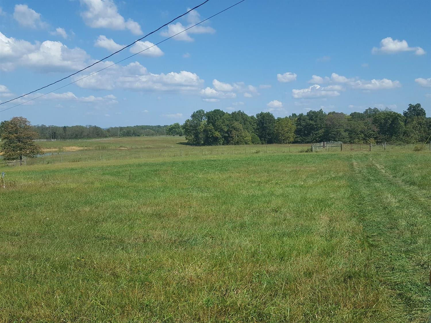 0 Forge Hill Road Owingsville, KY 40360 - Photo 6 of 6 Photo 6