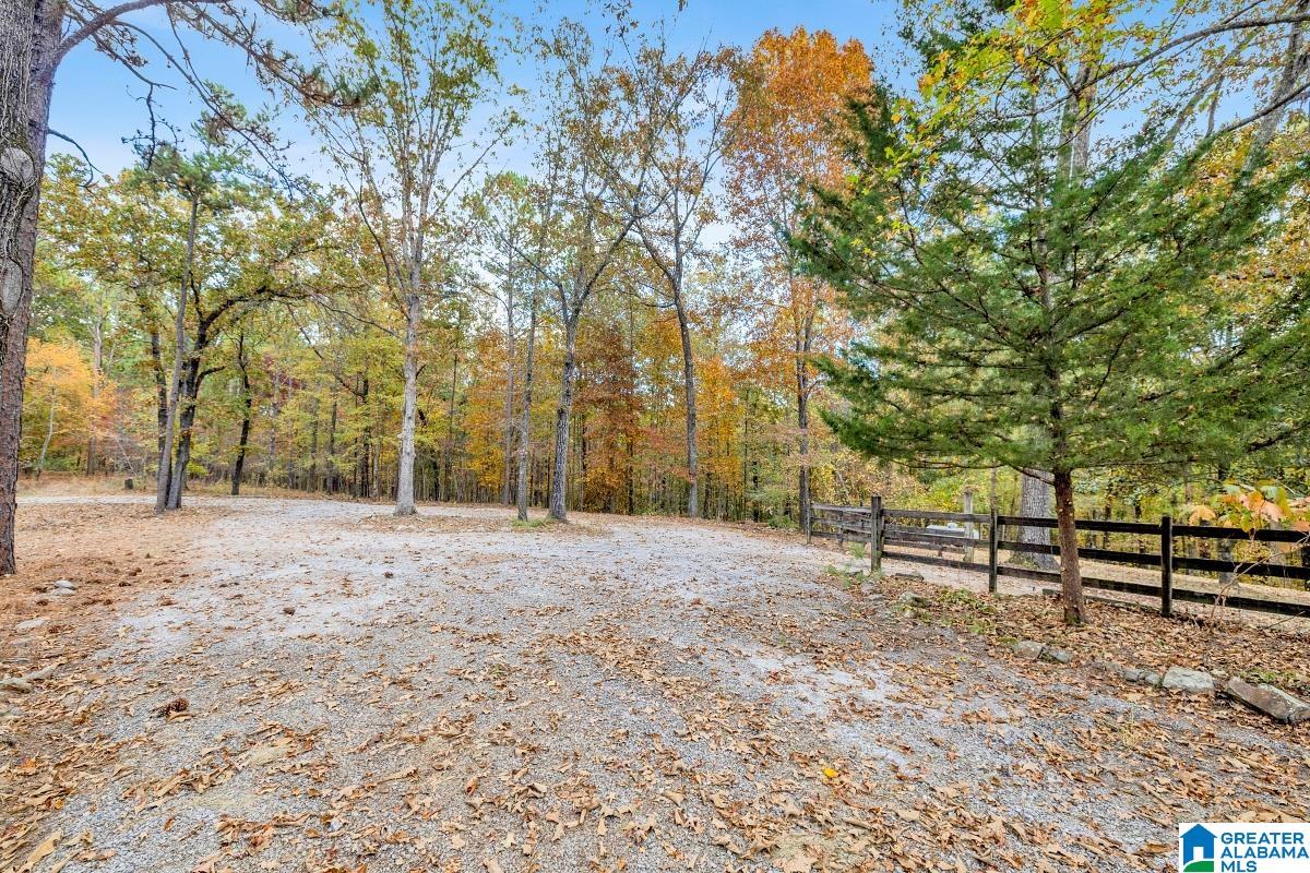 621 Hodgens Road Chelsea, AL 35043 - Photo 40 of 59 Gallery Image 40