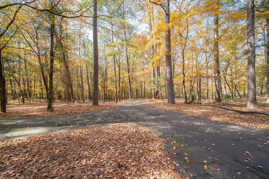 517 Double Churches Road Columbus, GA 31904 - Photo 7 of 96 a view of a backyard with large trees