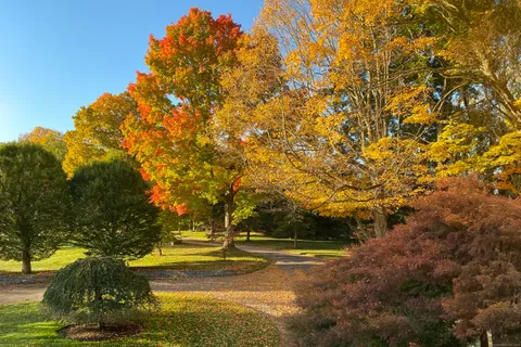 a view of outdoor space and yard